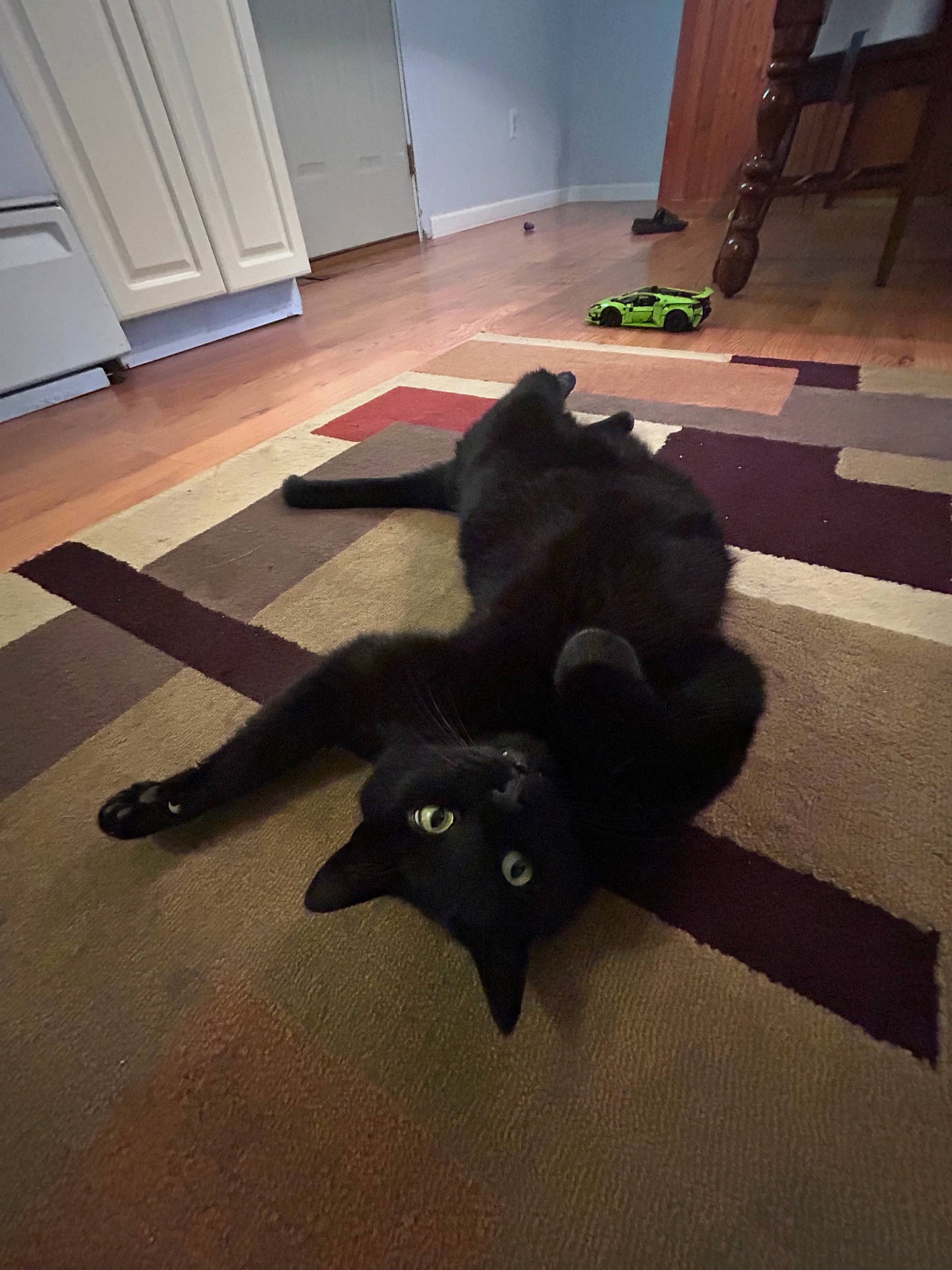 Spyder