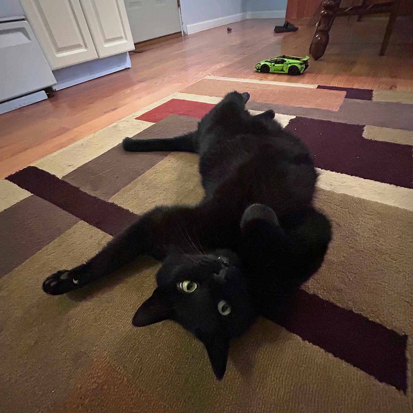 Spyder