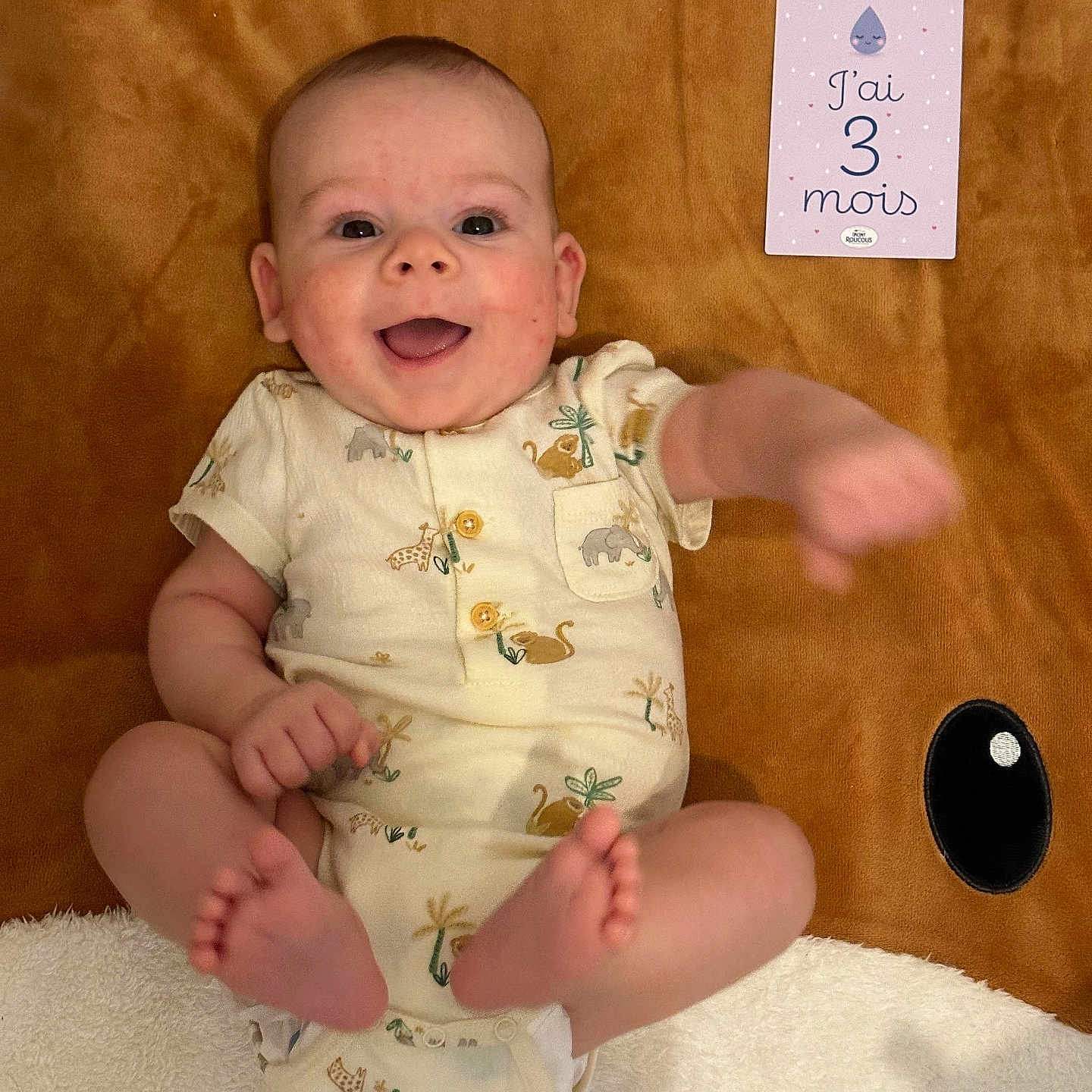 Liam participe au concours pour gagner de l'argent avec cette photo : animal_print, baby, blanket, child, cozy, cute, face, happy, indoors, infant, lying_down, milestone_card, onesie, playful, portrait, reaching, smiling, soft_texture, three_months, young