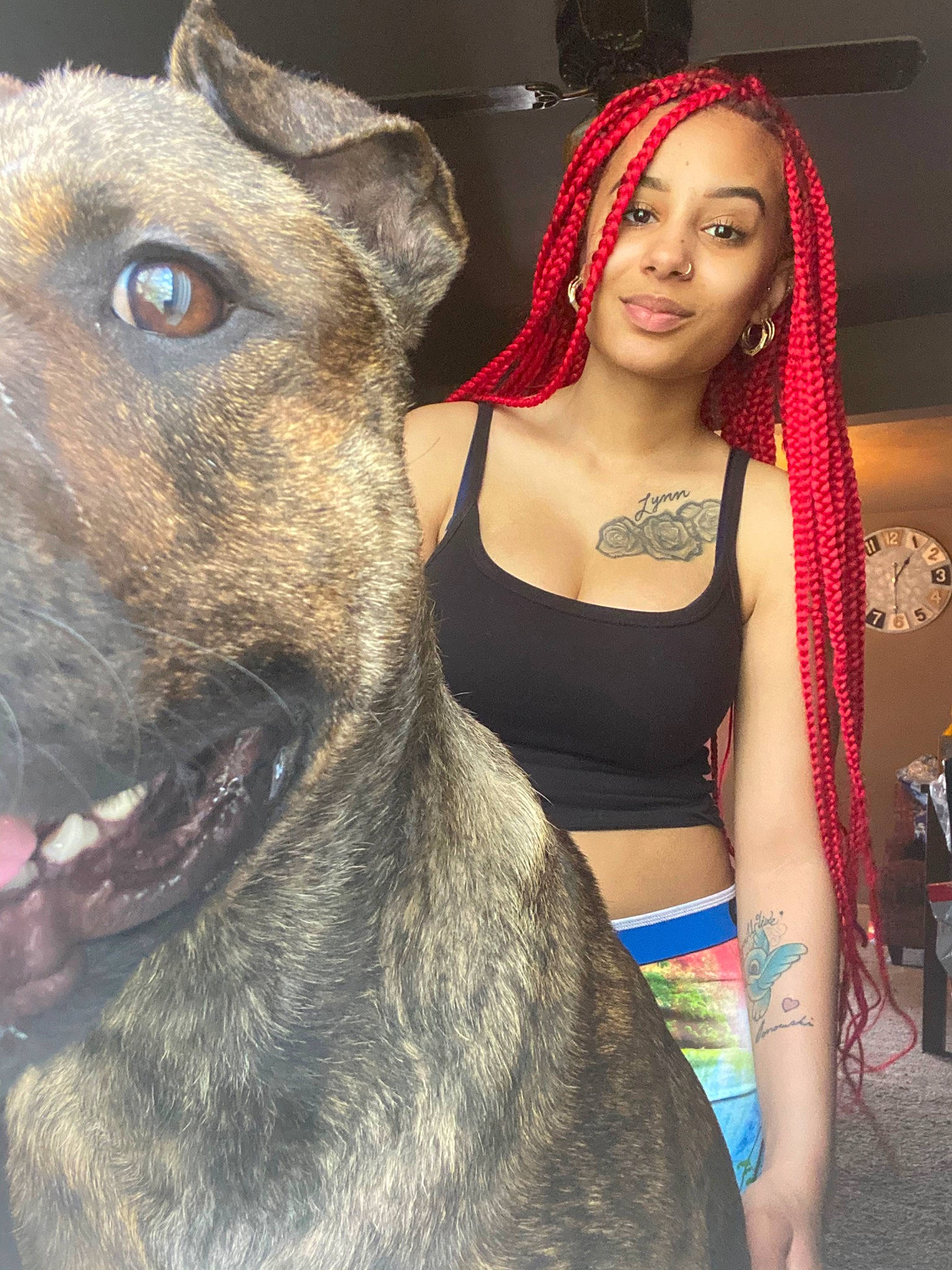 Remmy is registered to the contest to win money with this photo: american_pit_bull_terrier, beauty, bullmastiff, cane_corso, canidae, carnivore, dog, dog_breed, dog_collar, ear, fawn, guard_dog, leash, non_sporting_group, perro_de_presa_canario, selfie, skin, smile