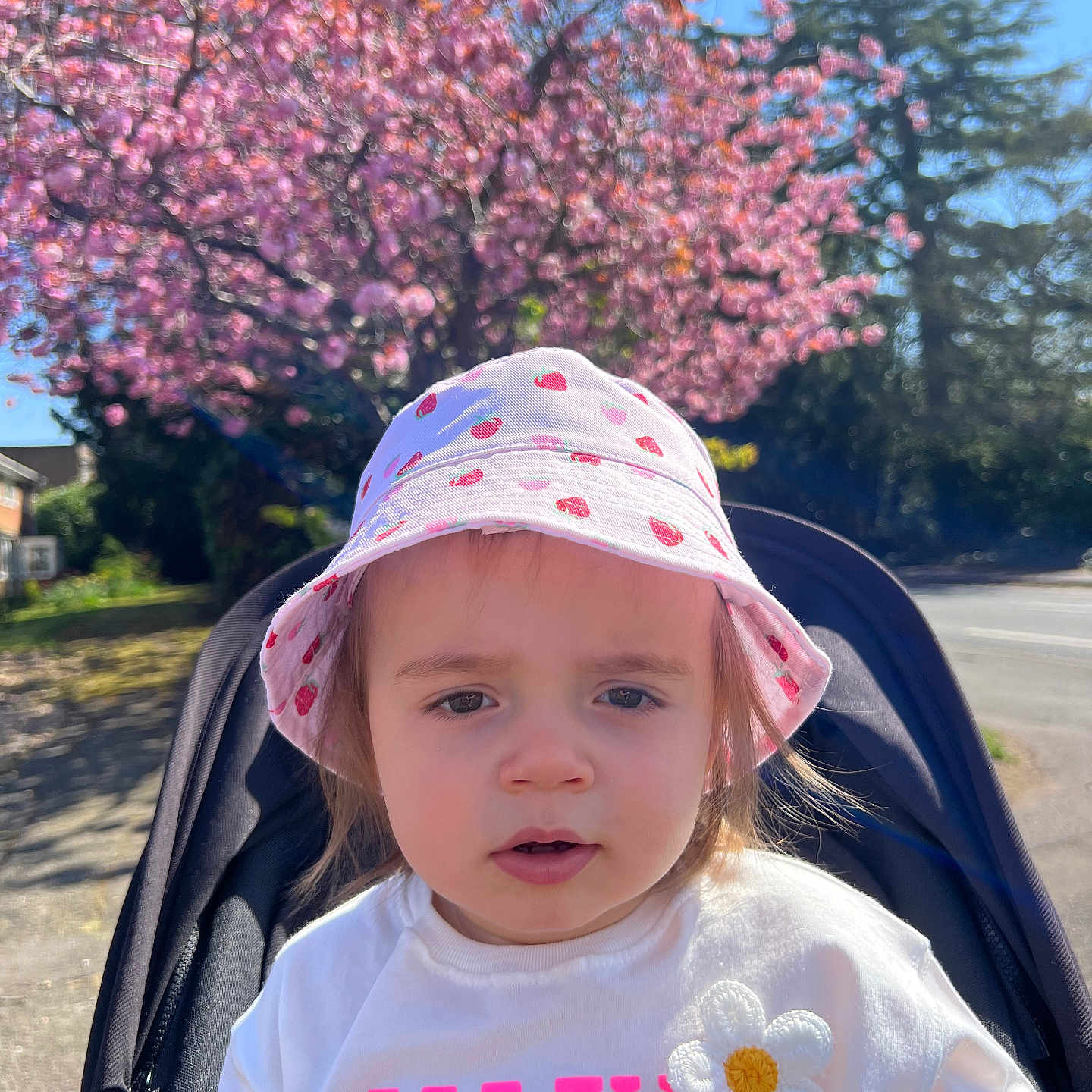 Katalea is registered to the contest to win money with this photo: baby, bonnet, cap, cherryblossom, clothing, face, flower, geranium, happy, hat, head, person, petal, photography, plant, portrait, smile, stroller, sunhat, tree