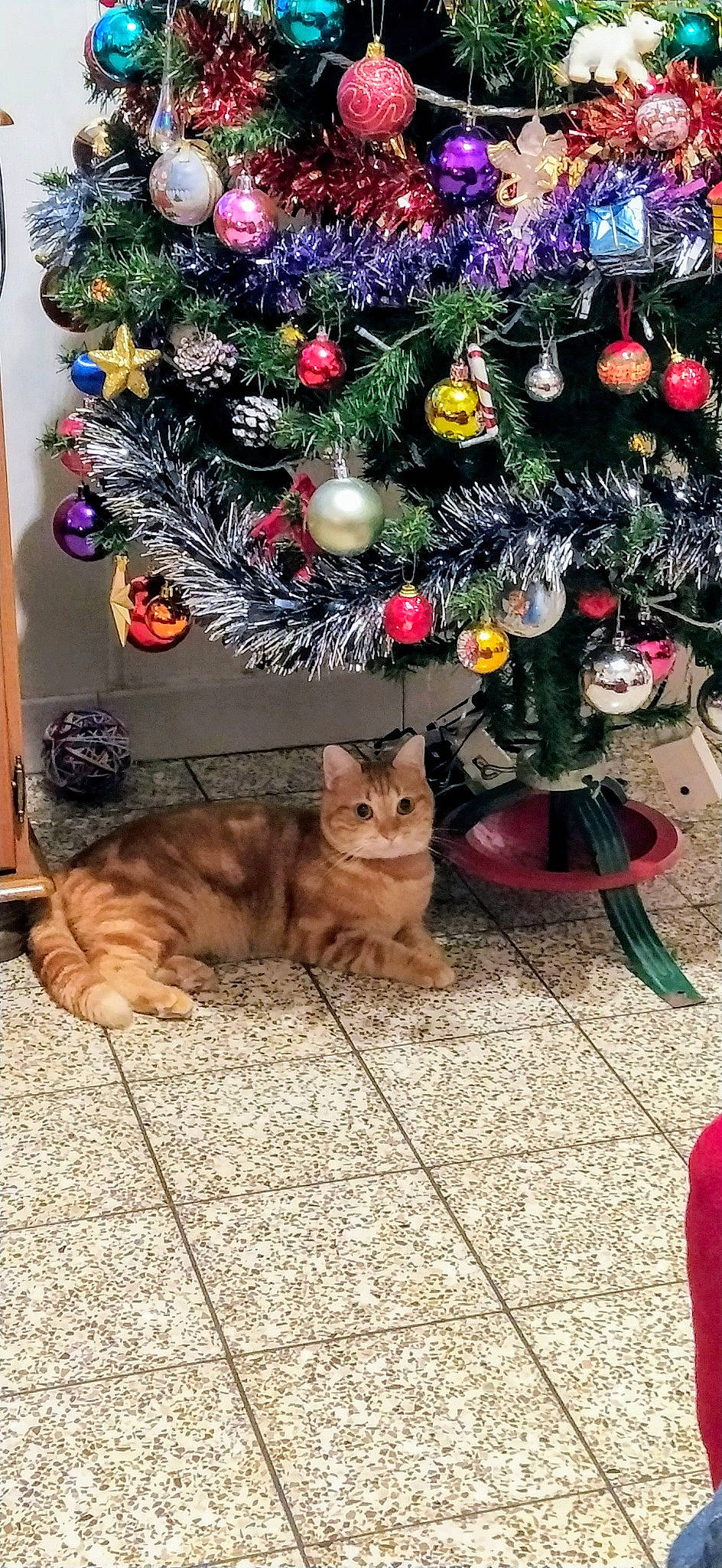 Caramel