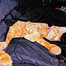 animal, blanket, cat, closeup, collar, comfort, cozy, cute, domestic_animal, feline, fur, indoor, napping, orange_tabby, paw, pet, relaxing, resting, sleeping, soft