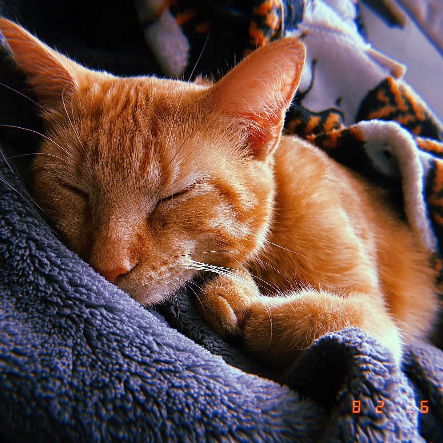 Toffee