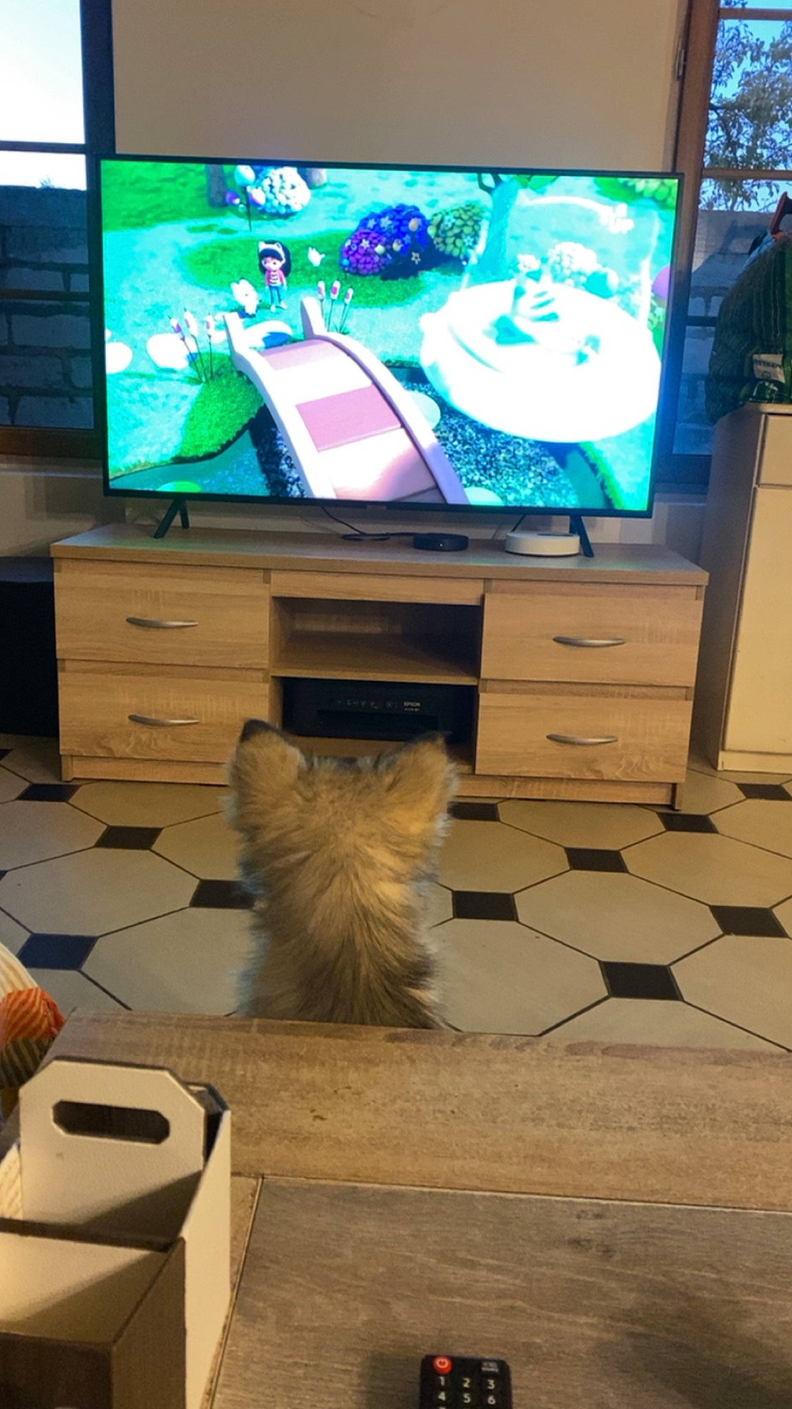 Freya participe au concours pour gagner de l'argent avec cette photo : audio_equipment, box, cabinetry, computer_monitor_accessory, desktop_computer, display_device, drawer, entertainment, entertainment_center, felidae, flat_panel_display, flooring, gadget, hardwood, living_room, multimedia, output_device, television, television_set, wood