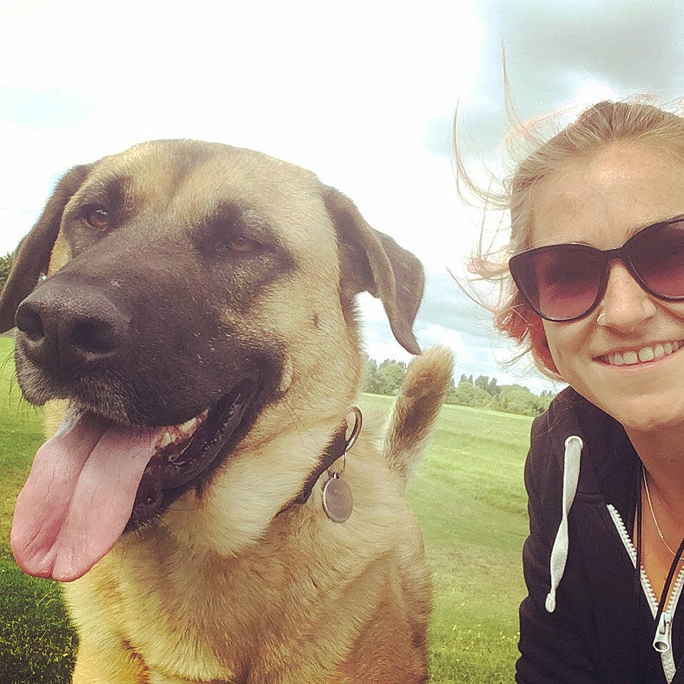 Loki joined the competition — help win amazing prizes! carnivore, cloud, collar, companion_dog, cool, dog, dog_breed, dog_collar, eyewear, fawn, gesture, glasses, goggles, grass, happy, people_in_nature, sky, smile, sunglasses, vision_care