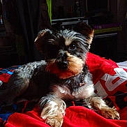 Kya a rejoint le concours — aidez-le/la à gagner de superbes lots !