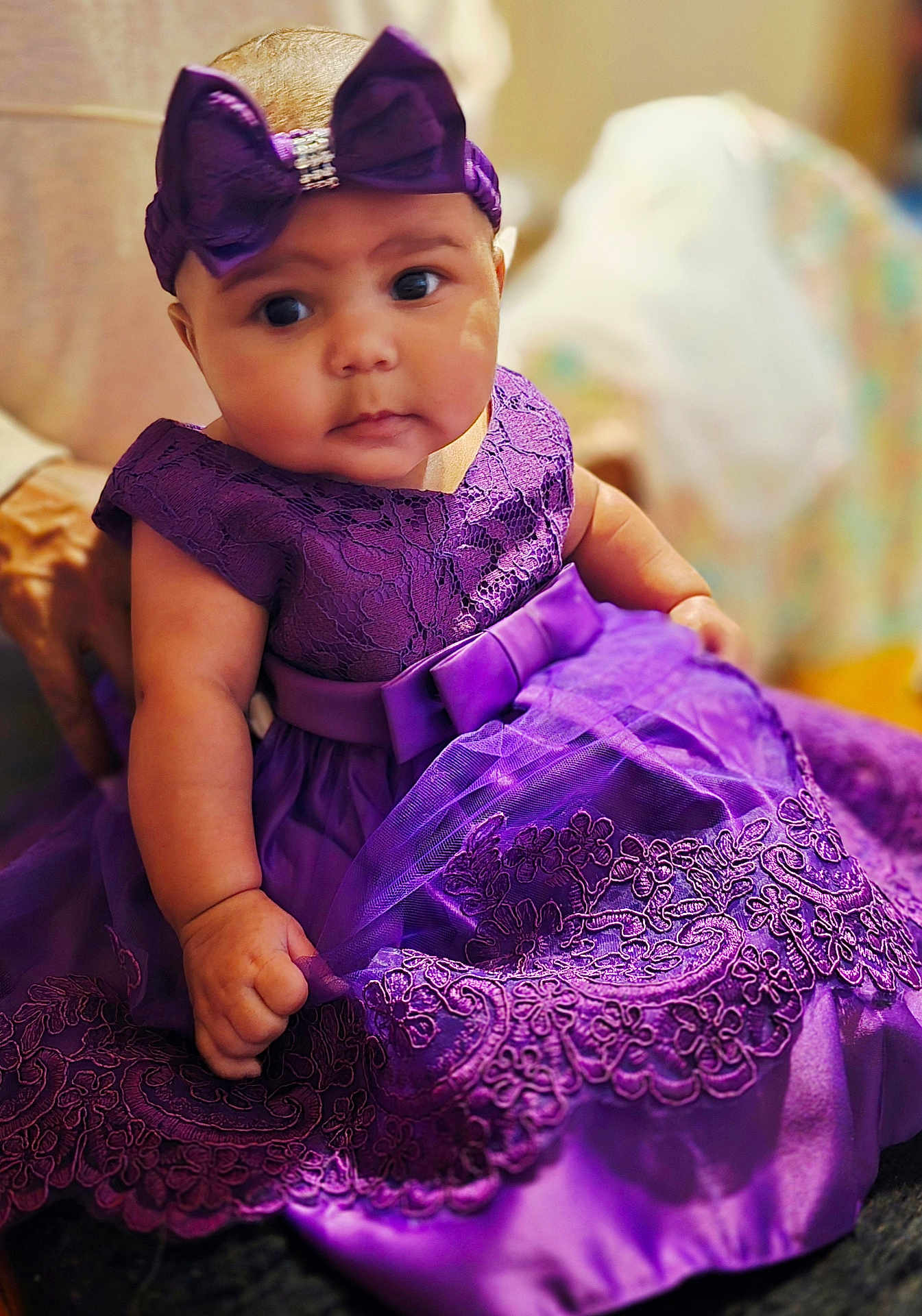 Azavia joined the competition — help win amazing prizes! baby, child, purple_dress, headband, lace, portrait, cute, infant, sitting, hand, fabric, clothing, person, indoors, soft_light, adorable, face, young_child, dressed_up, curious