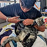Maddox is registered to the contest to win money with this photo: person, cat, indoor, blanket, furniture, clothing, watch, scissors, pet_care, sitting, hair, technology, computer, cushion, shelf, window, casual, home, fur, relaxing