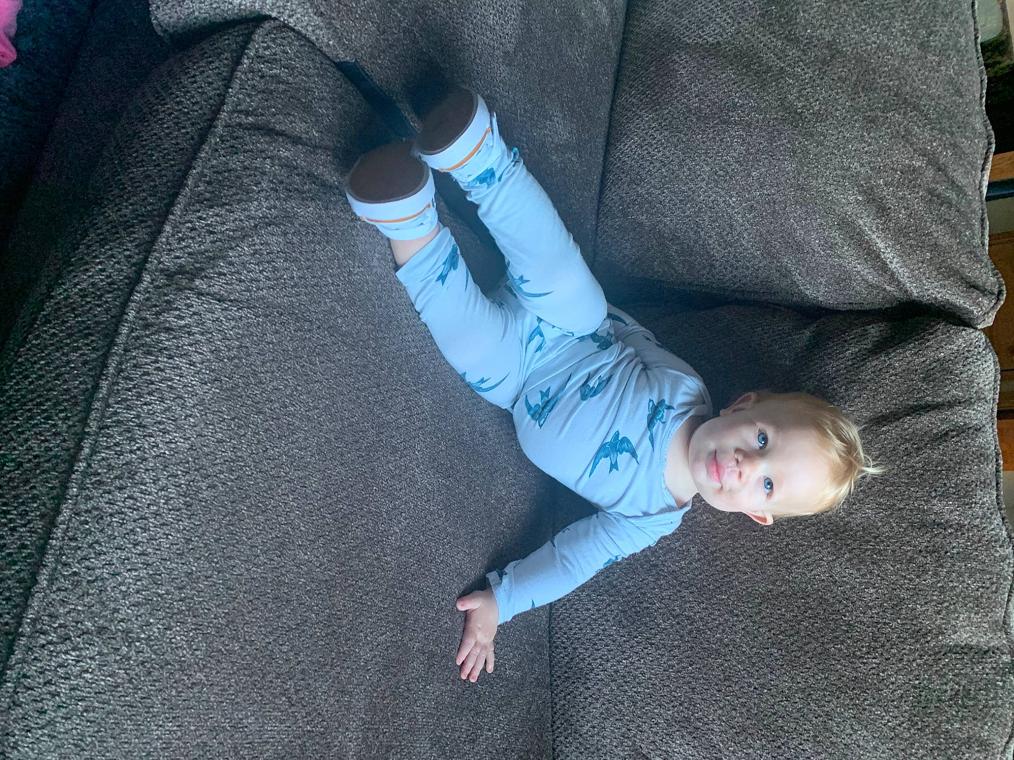 Daxton is registered to the contest to win money with this photo: baby, baby_toddler_clothing, child, comfort, denim, elbow, electric_blue, flooring, grass, grey, human_body, human_leg, leg, person, skin, sleeve, t_shirt, textile, toddler, tree
