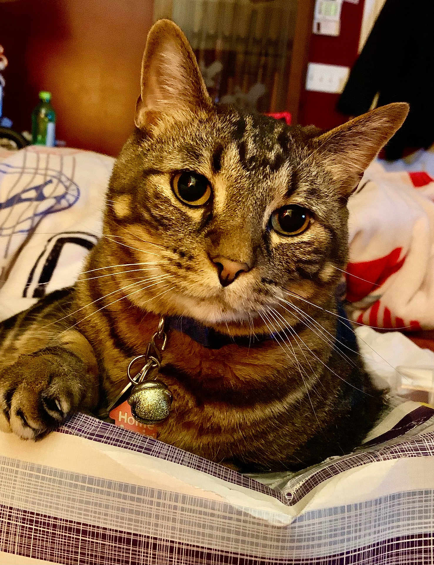 Tigger