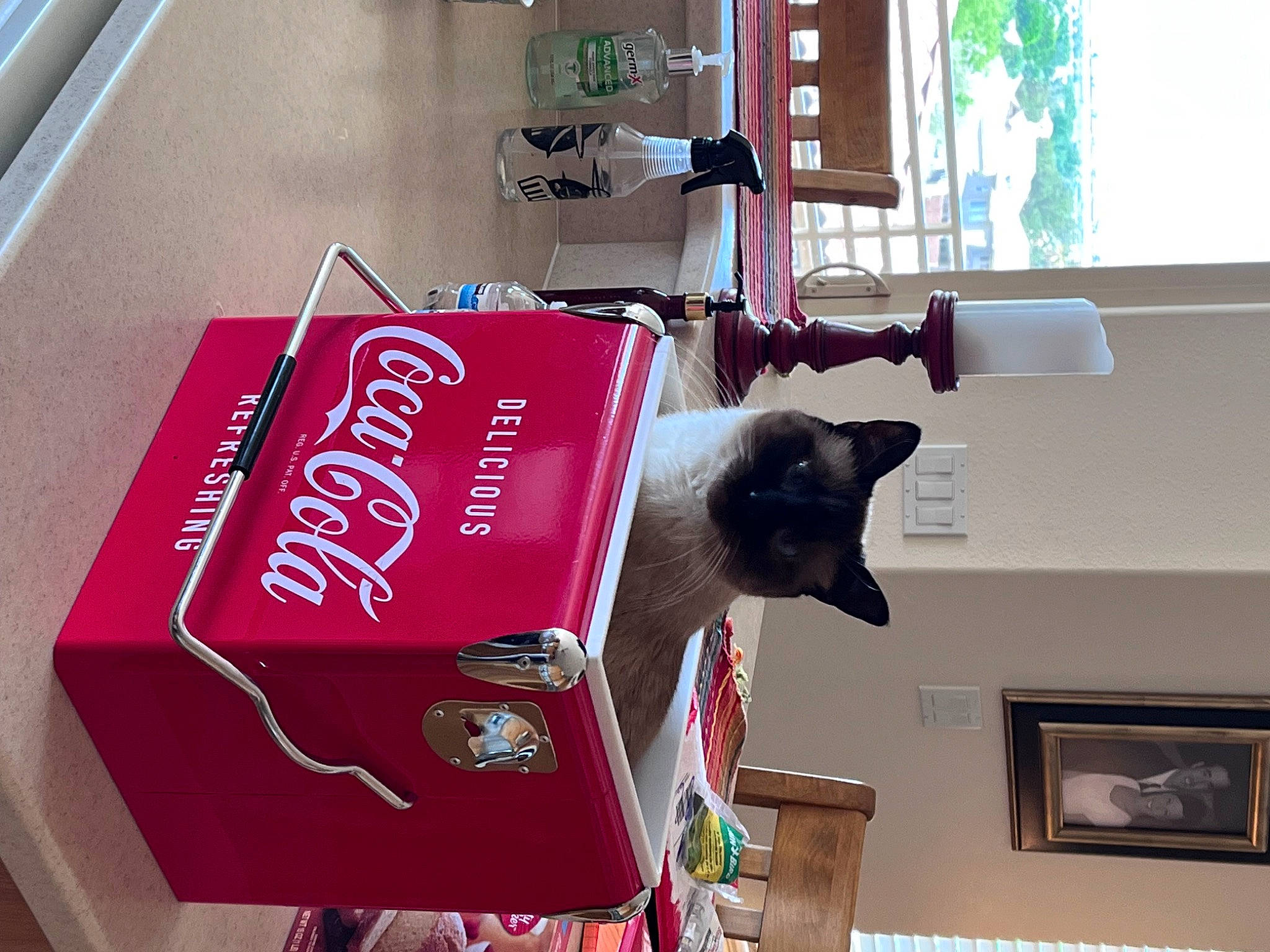 Snoshu Mingtoi is registered to the contest to win money with this photo: advertising, art, box, building, carmine, flooring, fur, magenta, metal, picture_frame, room, sculpture, window, wood