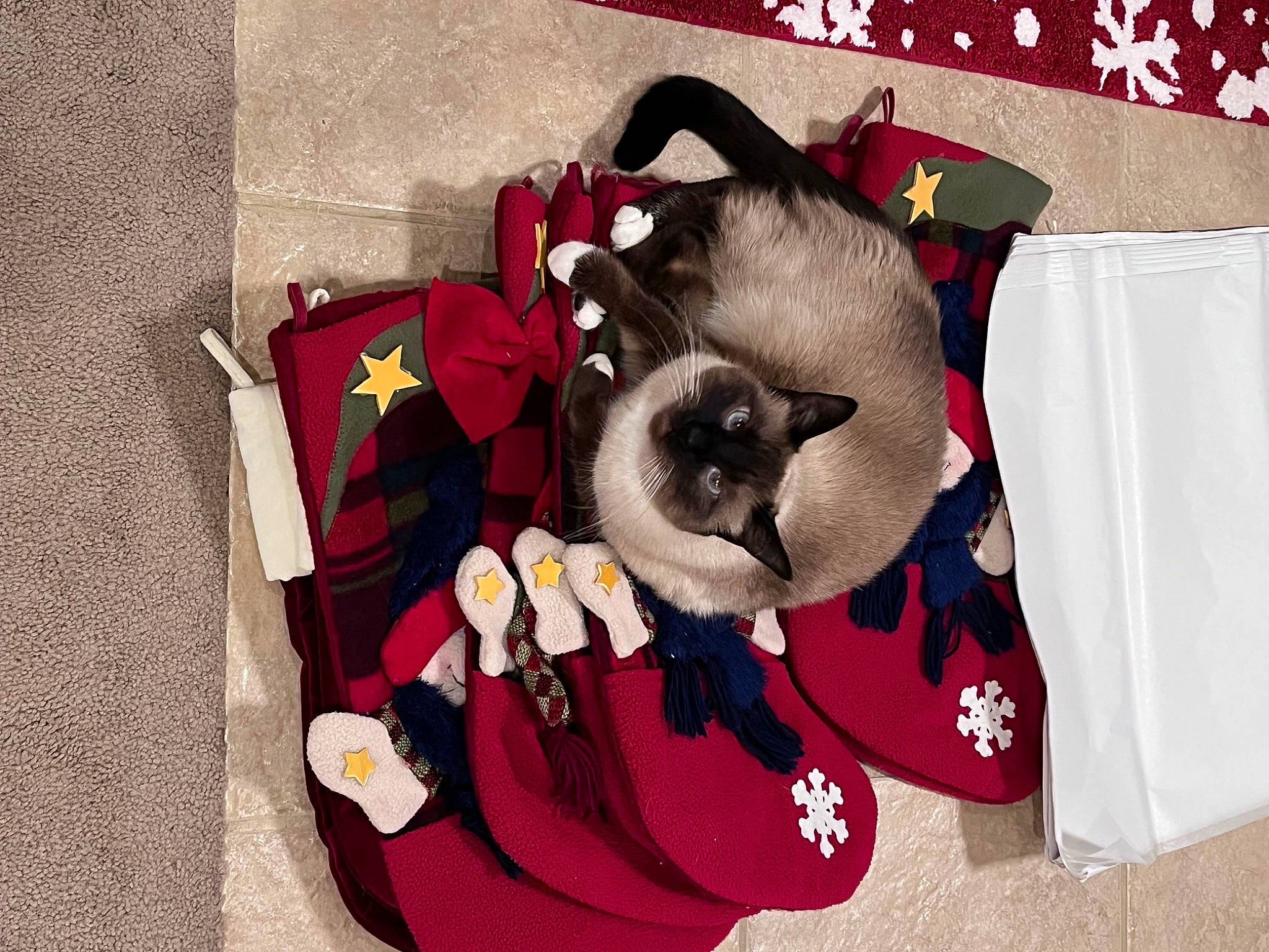 Snoshu Mingtoi joined the competition — help win amazing prizes! art, carmine, costume_hat, fashion_accessory, fawn, fictional_character, font, fur, linens, magenta, paper, paper_product, pattern, petal, pink, plant, visual_arts