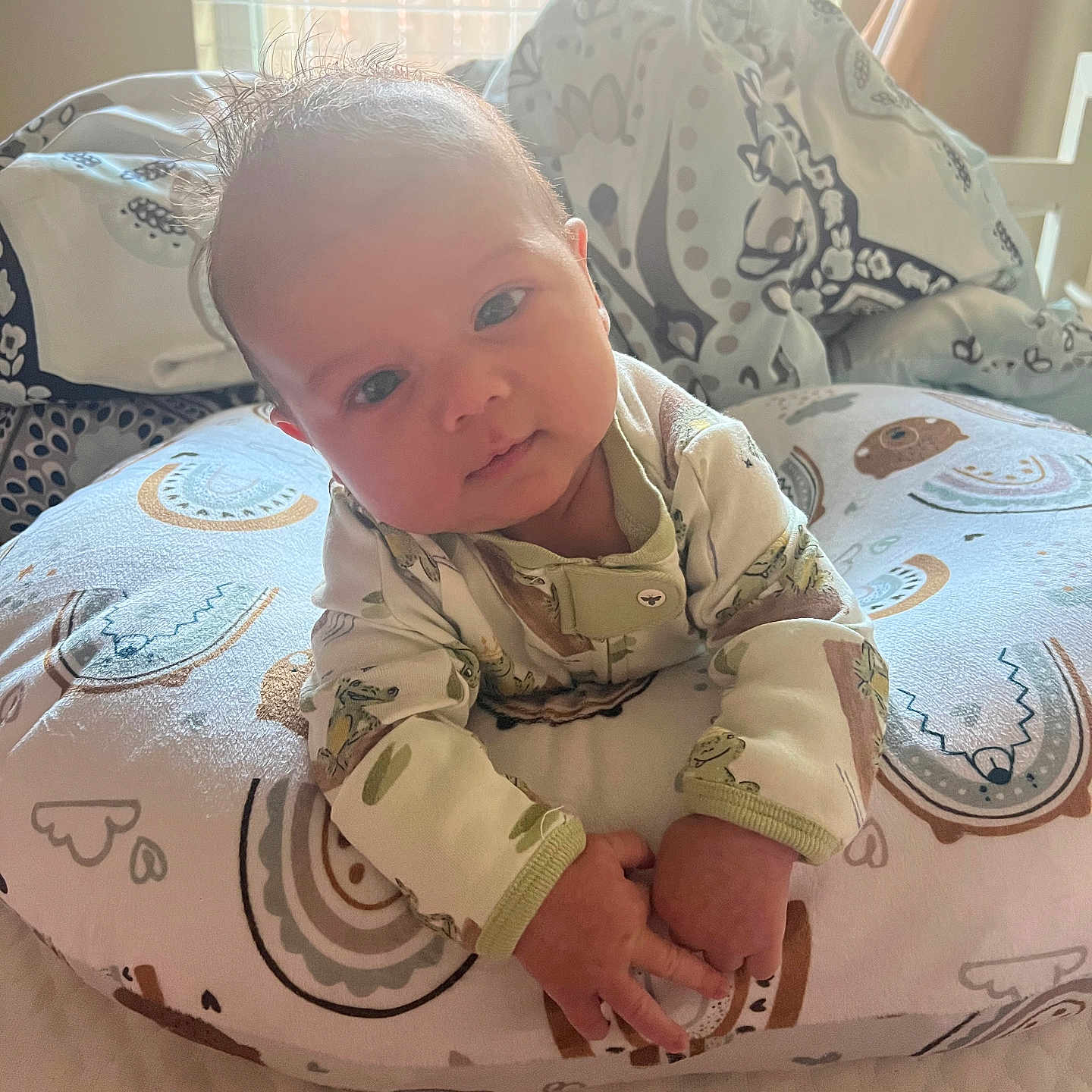 Beaux joined the competition — help win amazing prizes! baby, beanbag, blanket, bodypart, crawling, cushion, face, finger, furniture, hand, head, homedecor, person, photography, portrait