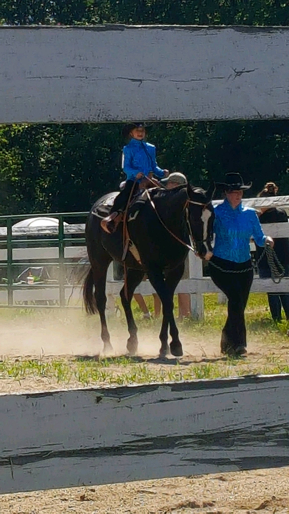 Katrina joined the competition — help win amazing prizes! animal_sports, bridle, equestrian, equestrian_sport, equestrianism, equitation, halter, headwear, horse, horse_supplies, horse_tack, mammal, mane, mare, outdoor_recreation, pack_animal, person, recreation, rein, saddle