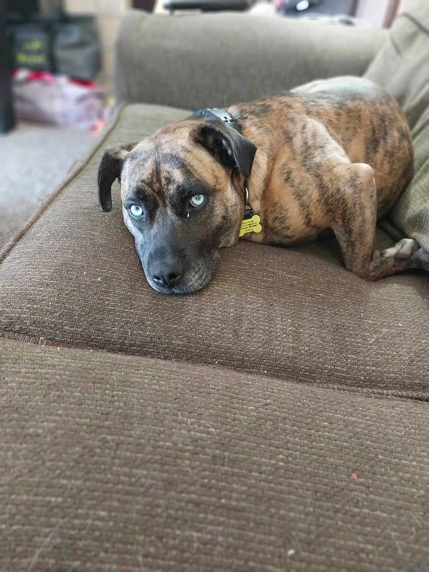 Millie