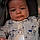 Landon