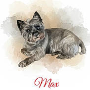 Max participe au concours pour gagner de l'argent avec cette photo : dog, terrier, small_dog, watercolor, illustration, pet, portrait, lying_down, long_hair, gray_fur, black_fur, pointed_ears, brown_eyes, collar, indoor, white_background, pastel, memorial, french_text, animal_art