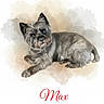dog, terrier, small_dog, watercolor, illustration, pet, portrait, lying_down, long_hair, gray_fur, black_fur, pointed_ears, brown_eyes, collar, indoor, white_background, pastel, memorial, french_text, animal_art