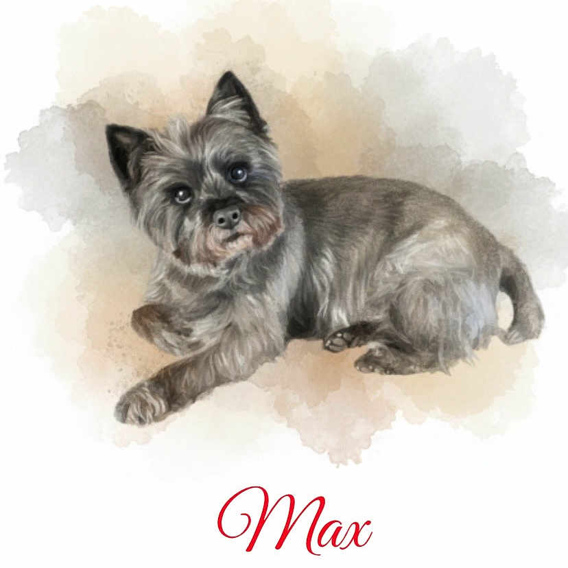 Max