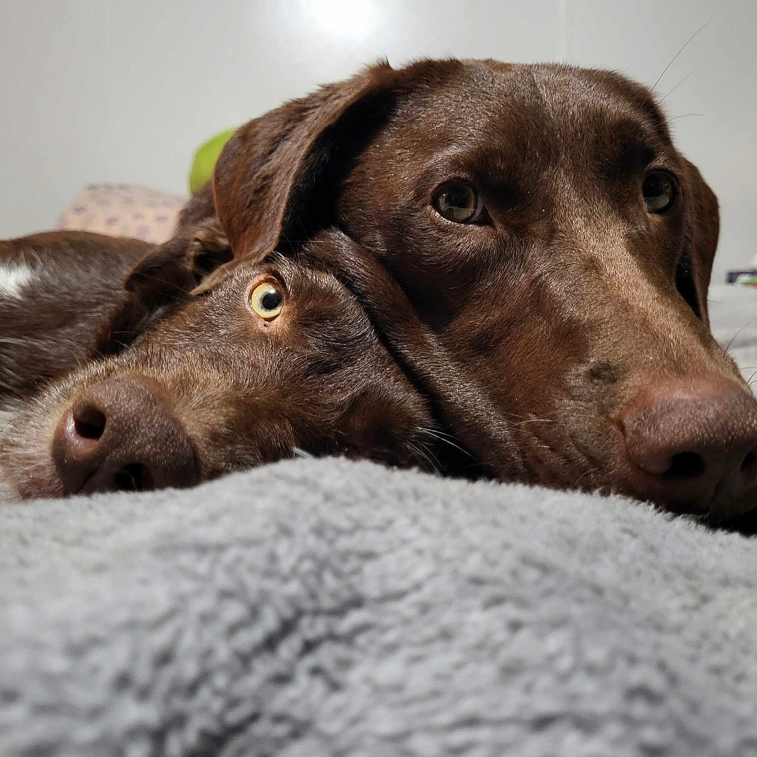 Sally And Laura