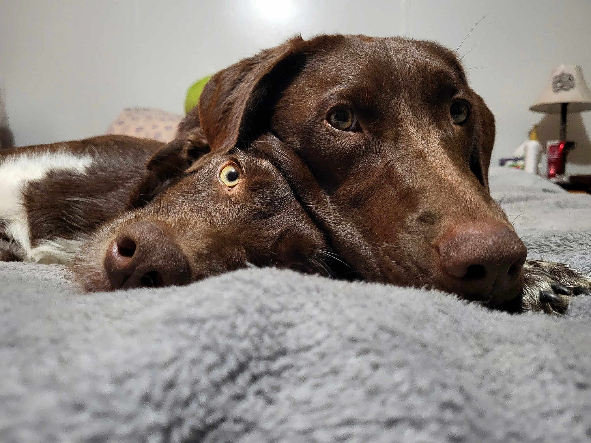 Sally And Laura
