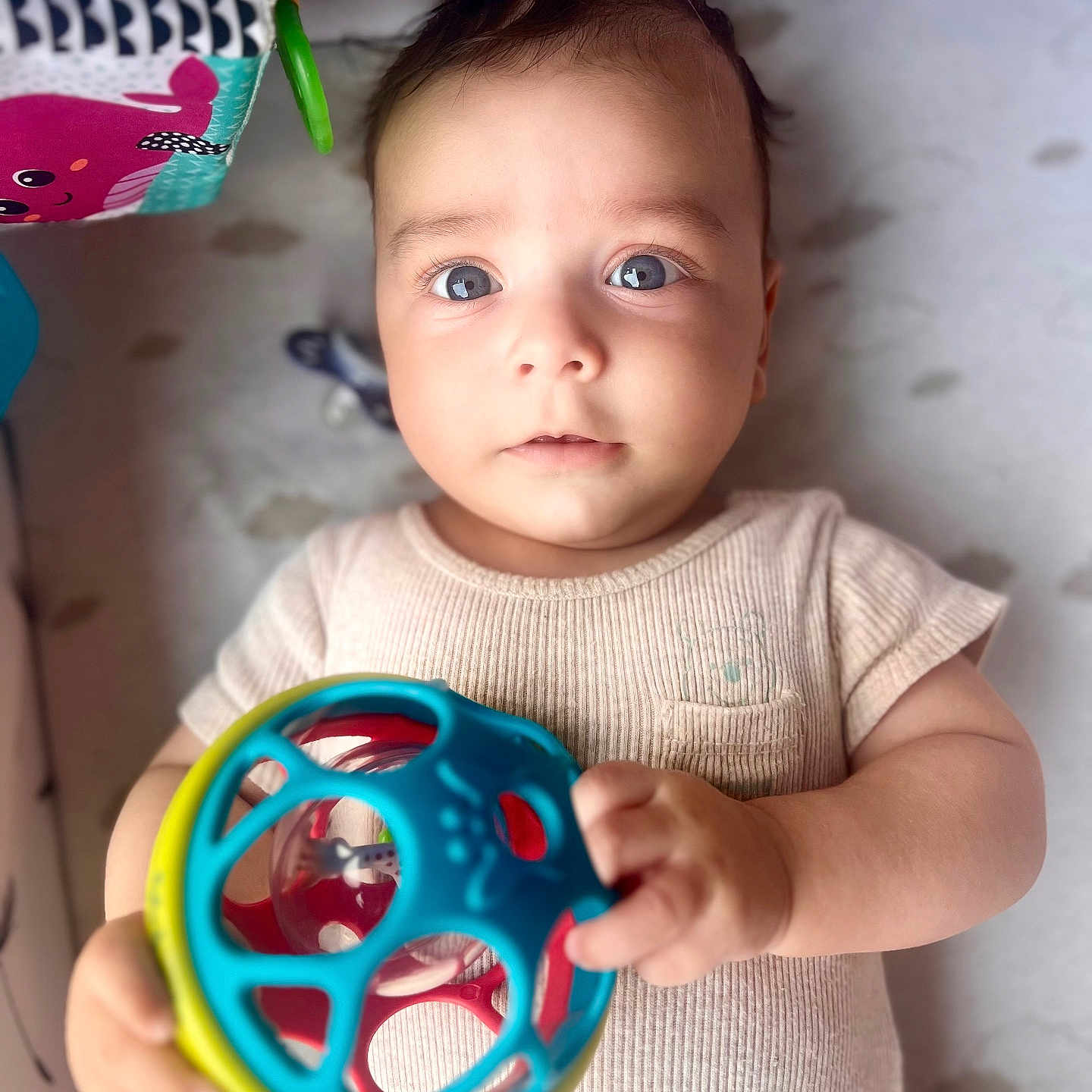 Santino a rejoint le concours — aidez-le/la à gagner de superbes lots ! baby, ball, blue_eyes, child, closeup, clothing, colorful, curious, cute, expression, hands, indoors, infant, looking_at_camera, play_area, playtime, portrait, soft_lighting, toy, young
