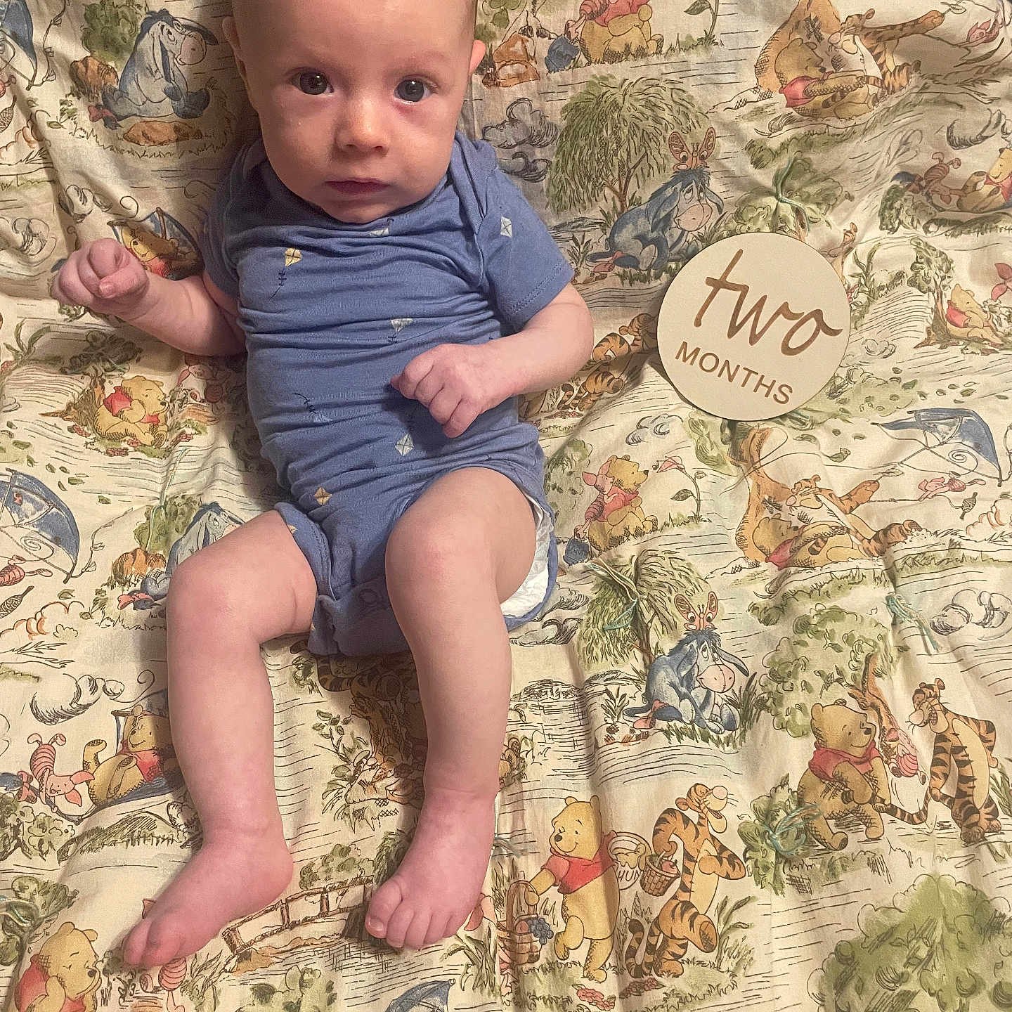 William is registered to the contest to win money with this photo: baby, infant, blue_onesie, winnie_the_pooh, blanket, cartoon_characters, lying_down, cute, child, two_months, portrait, looking_at_camera, indoors, soft_lighting, skin, face, hands, feet, expression, young