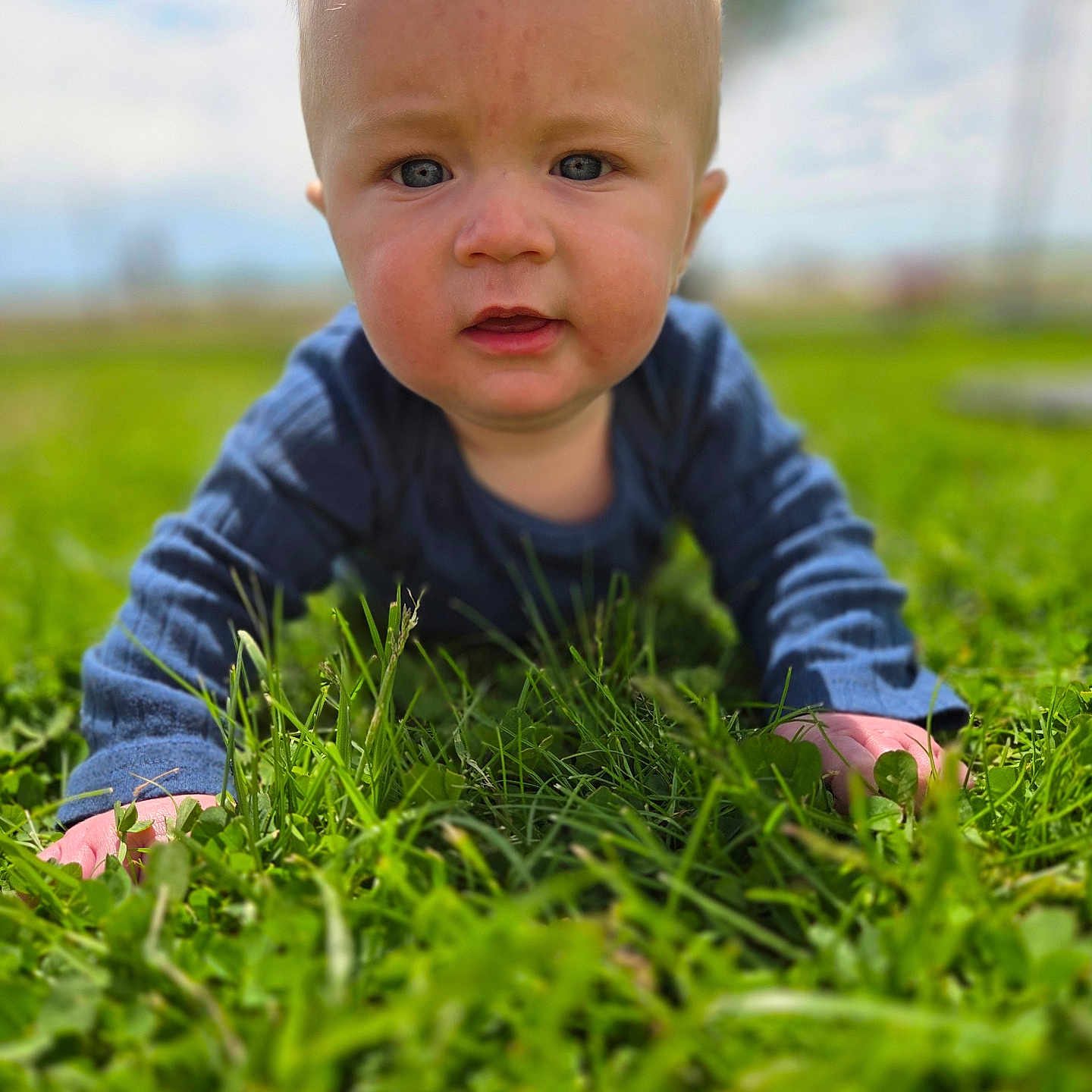 Weston is registered to the contest to win money with this photo: baby, child, infant, grass, outdoor, blue_clothing, crawling, face, eyes, cheeks, nature, daylight, greenery, young_child, portrait, closeup, skin, head, person, happy