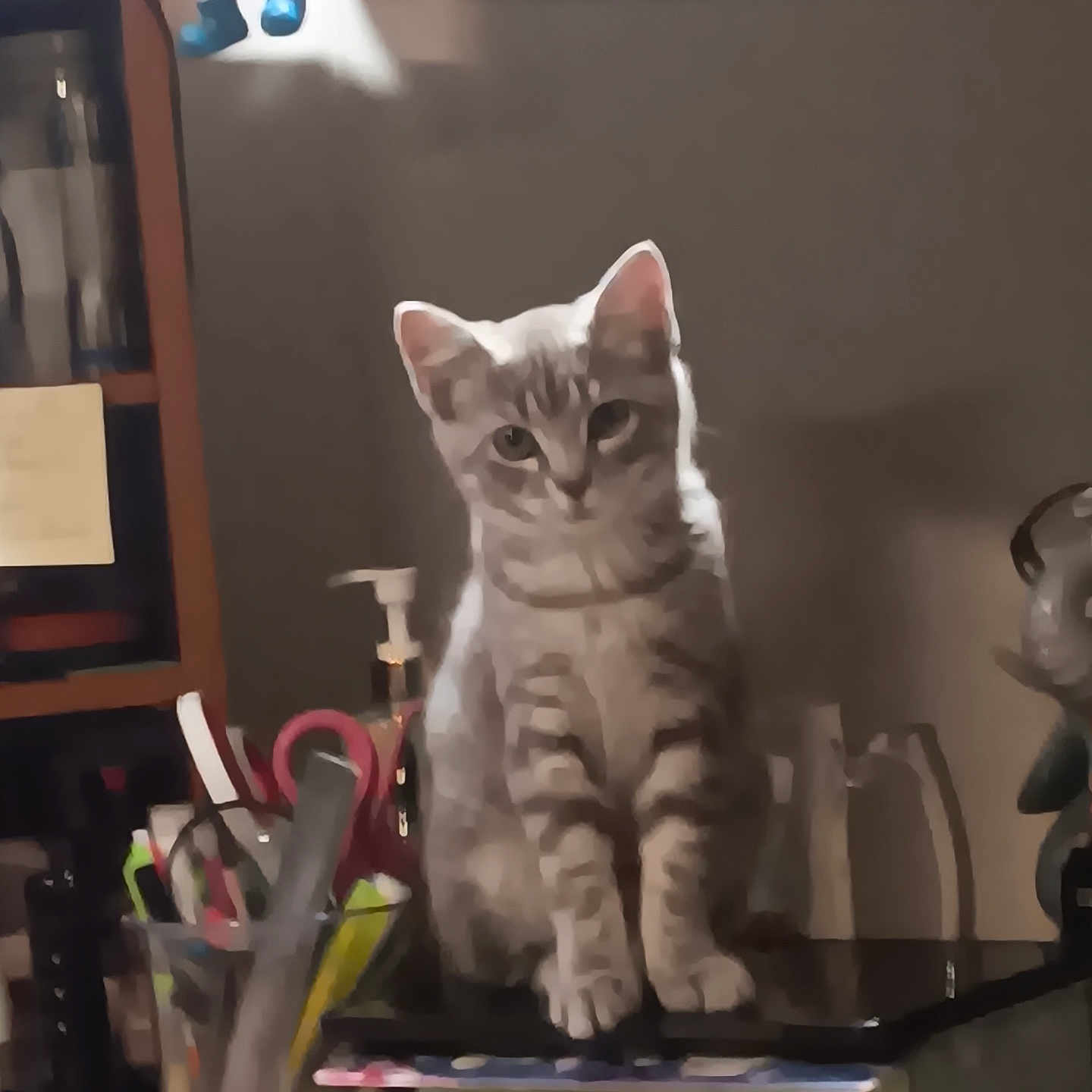 Stormy is registered to the contest to win money with this photo: animal, bottle, cat, cluttered, container, curious, desk, feline, gaze, household, indoor, light, pet, scissors, shadow, sitting, soap_dispenser, stationery, tabby_cat, wooden_surface