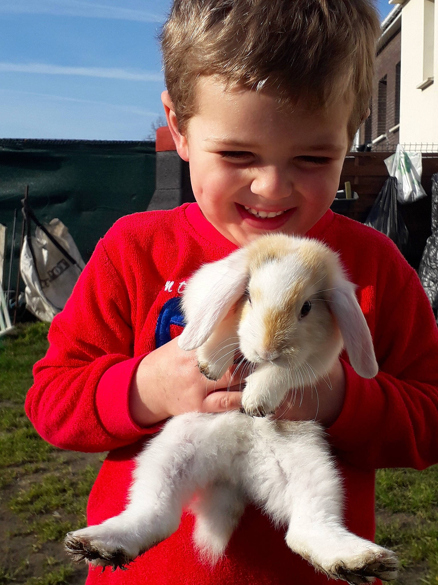 Timeo participe au concours pour gagner de l'argent avec cette photo : angora_rabbit, child, domestic_rabbit, ear, fur, goat, goats, hare, joy, person, rabbit, rabbits_and_hares