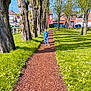 child, path, woodchips, trees, grass, flowers, houses, cars, sky, outdoor, daylight, person, nature, residential_area, greenery, spring, blue_sky, sidewalk, sunlight, casual_clothing