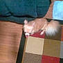 dog, small_dog, fluffy_tail, patchwork_rug, indoor, wooden_floor, furniture, blur, pet, animal, canine, home, floor, carpet, brown, red, beige, black, light_brown, tan