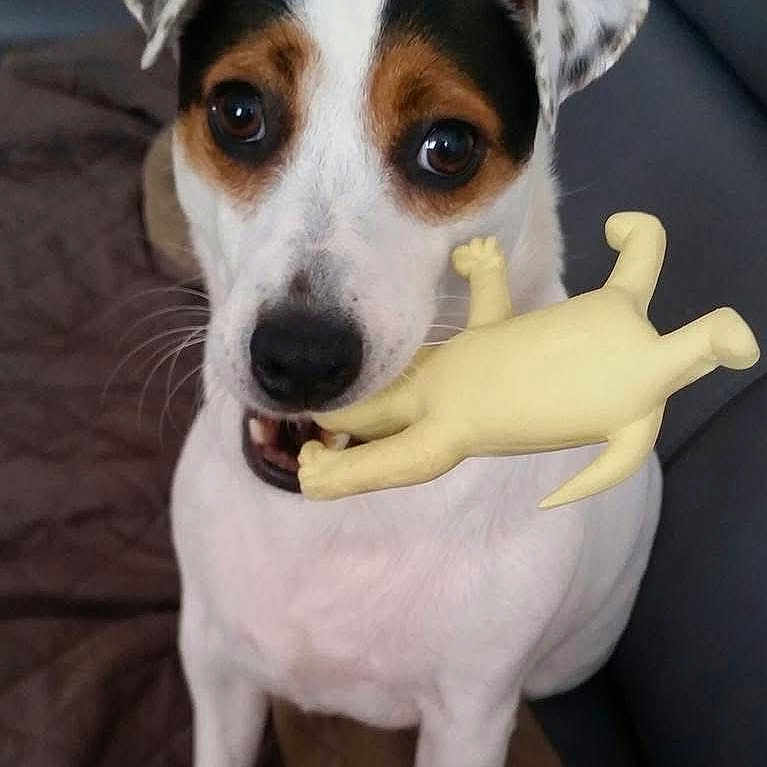 Roxy