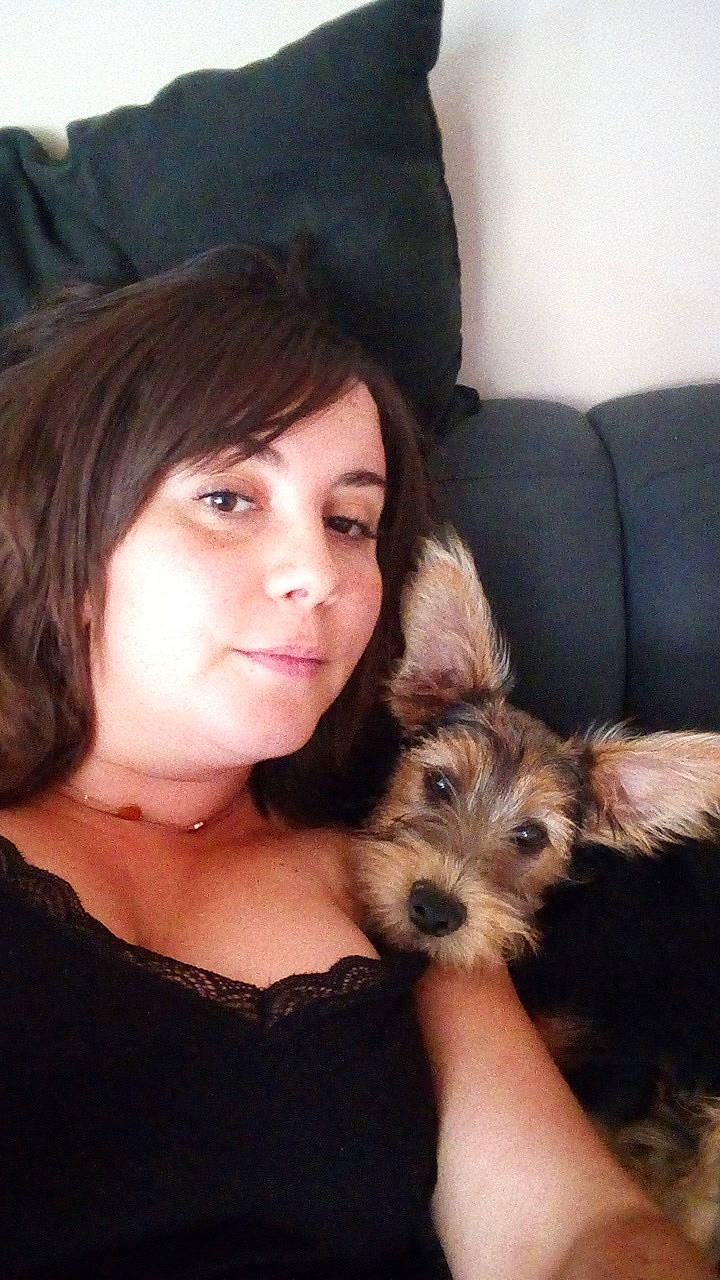 One a rejoint le concours — aidez-le/la à gagner de superbes lots ! carnivoran, companion_dog, dog, dog_breed, dog_breed_group, dog_like_mammal, ear, fur, morkie, person, puppy, schnoodle, skin, small_terrier, snout, terrier, yorkshire_terrier