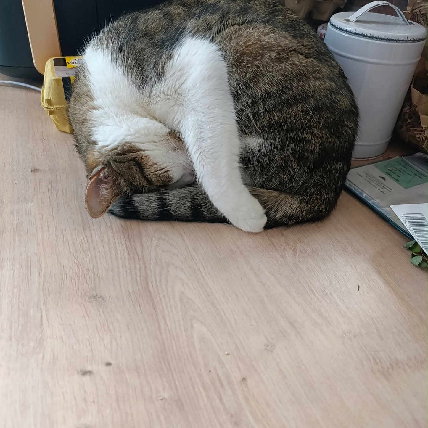 Gribouille