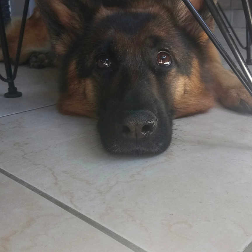 Lena