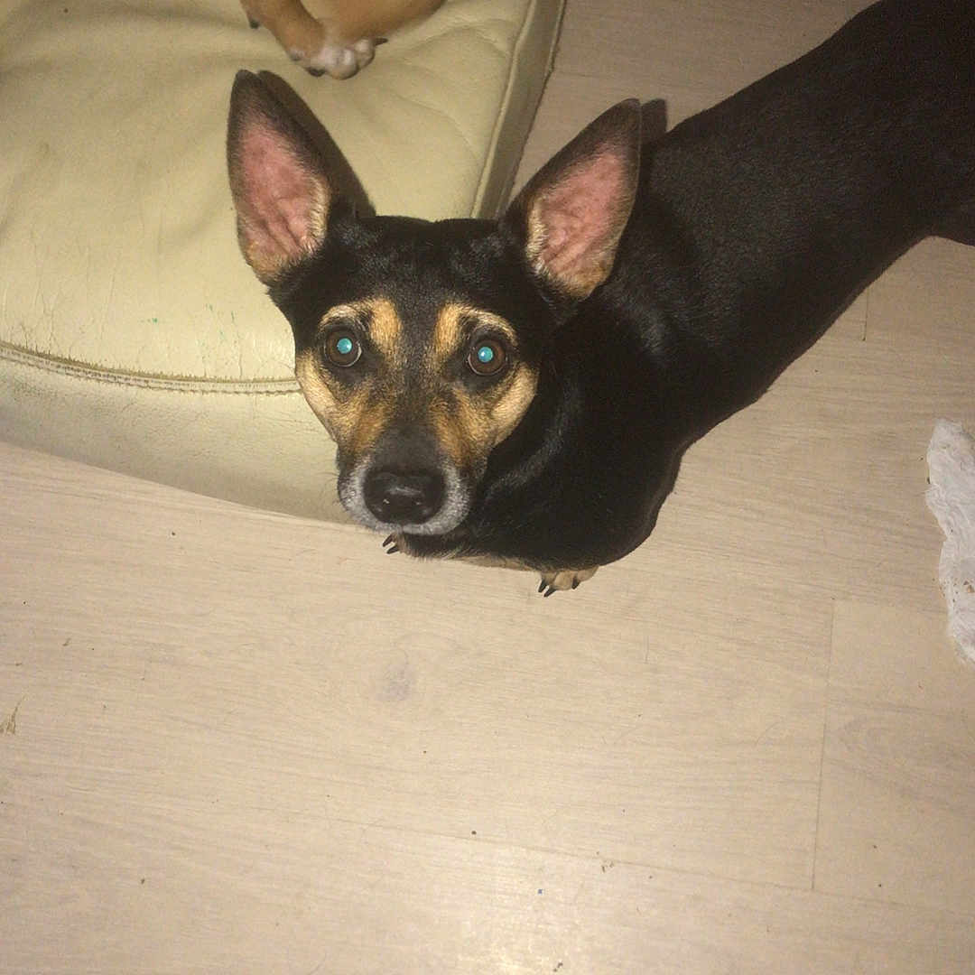 Killa