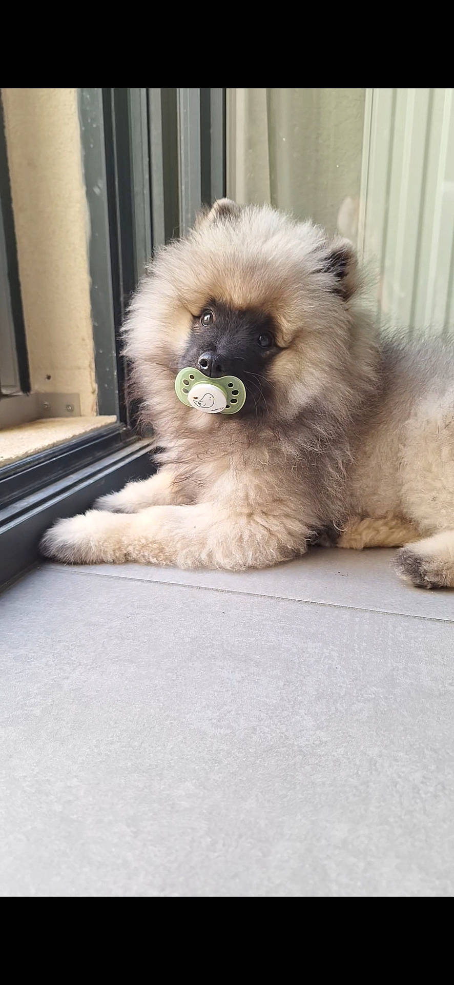 Bella