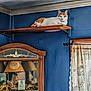 cat, orange_cat, white_cat, wooden_shelf, blue_wall, cabinet, tiger_figures, lamp, curtain, window, indoor, furniture, animal, pet, resting, decor, home, cozy, shelf, room