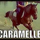 Caramelle a rejoint le concours — aidez-le/la à gagner de superbes lots !