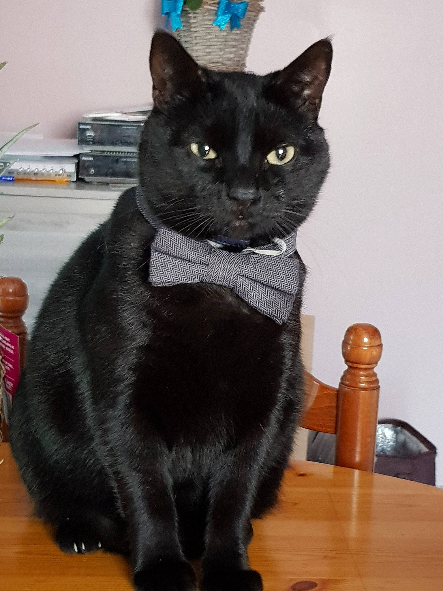 Alex participe au concours pour gagner de l'argent avec cette photo :