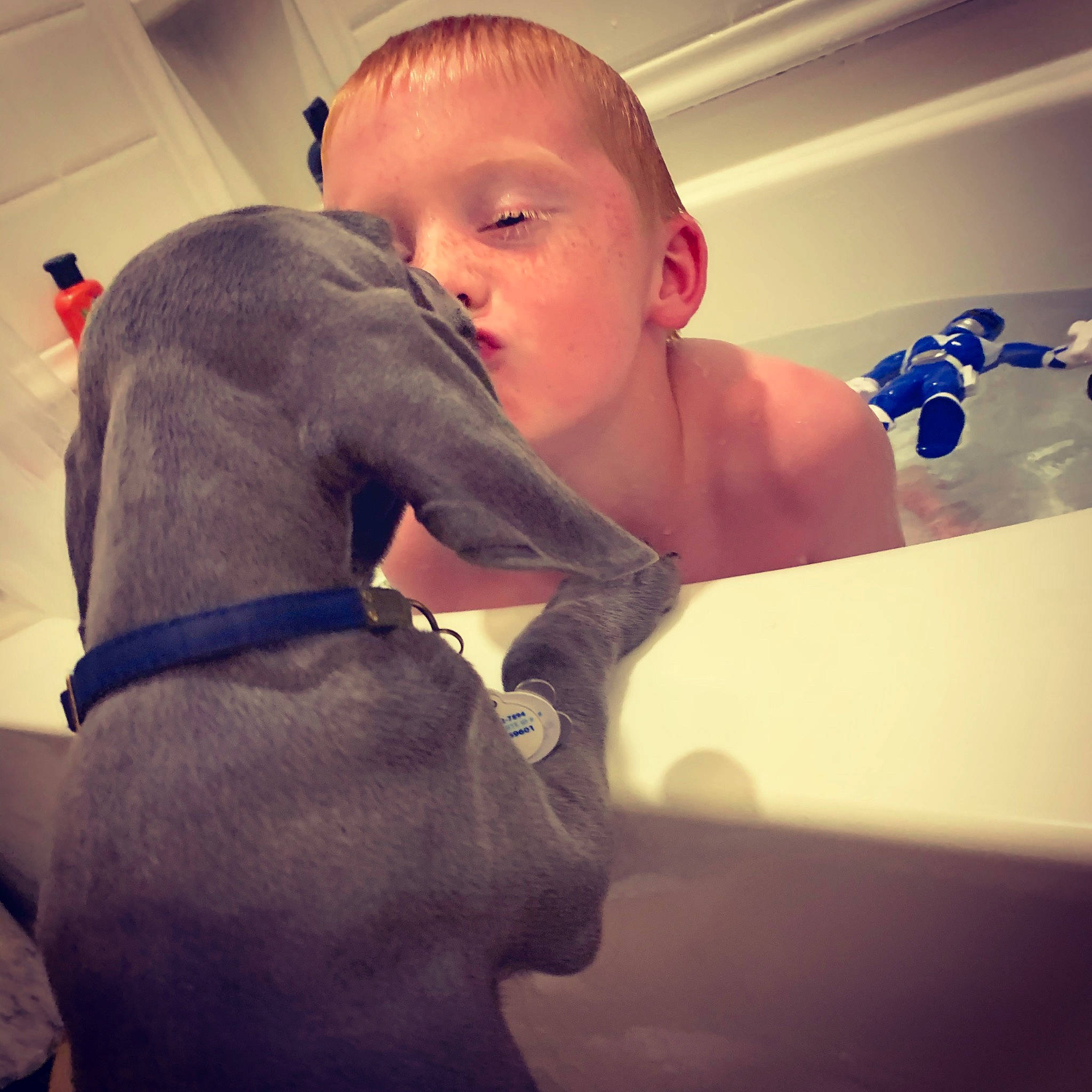 Tomlin is registered to the contest to win money with this photo: abdomen, chest, cloud, comfort, companion_dog, cool, elbow, eye, gesture, hair, hand, happy, head, human_leg, jaw, muscle, neck, shoulder, t_shirt, trunk