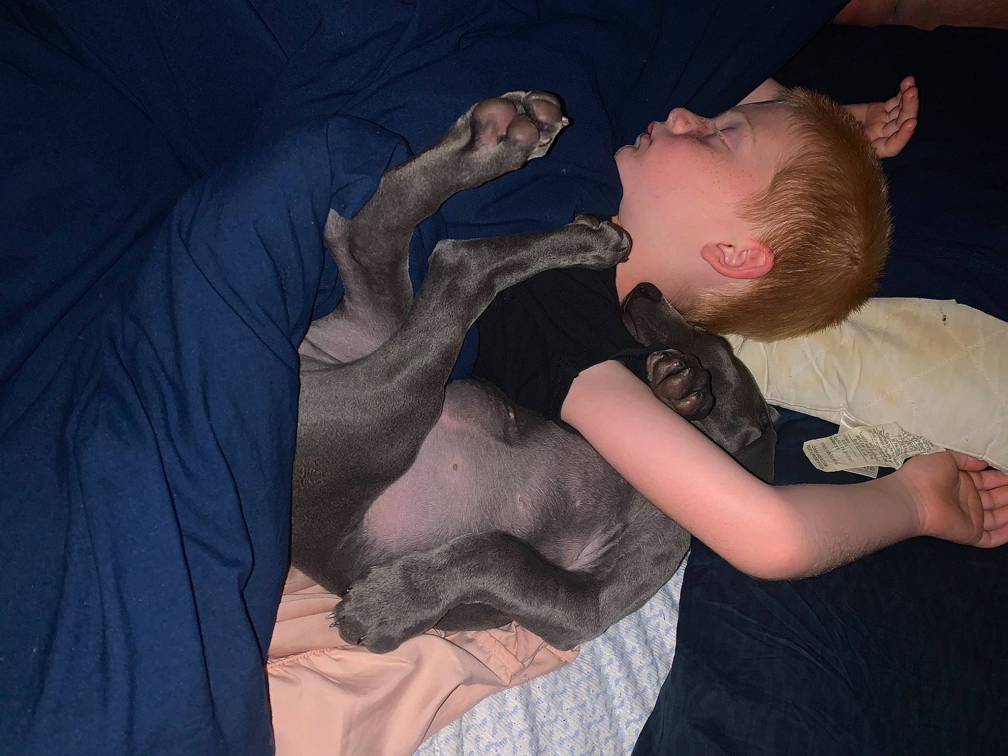 Tomlin joined the competition — help win amazing prizes! abdomen, arm, baby, beard, chest, comfort, ear, elbow, finger, flash_photography, gesture, hand, happy, jaw, mouth, neck, t_shirt, thumb, toddler, trunk