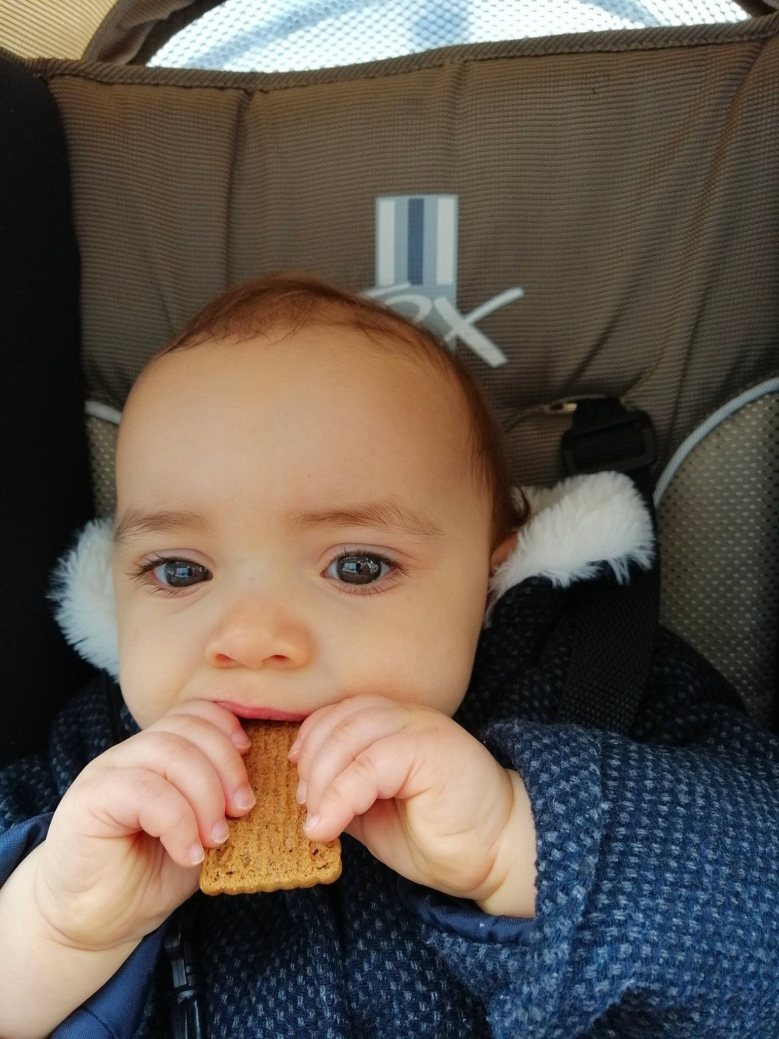 Lola participe au concours pour gagner de l'argent avec cette photo : baby, baked_goods, cheek, child, comfort_food, cuisine, eating, eye, face, finger, finger_food, food, head, nose, person, snack, toddler