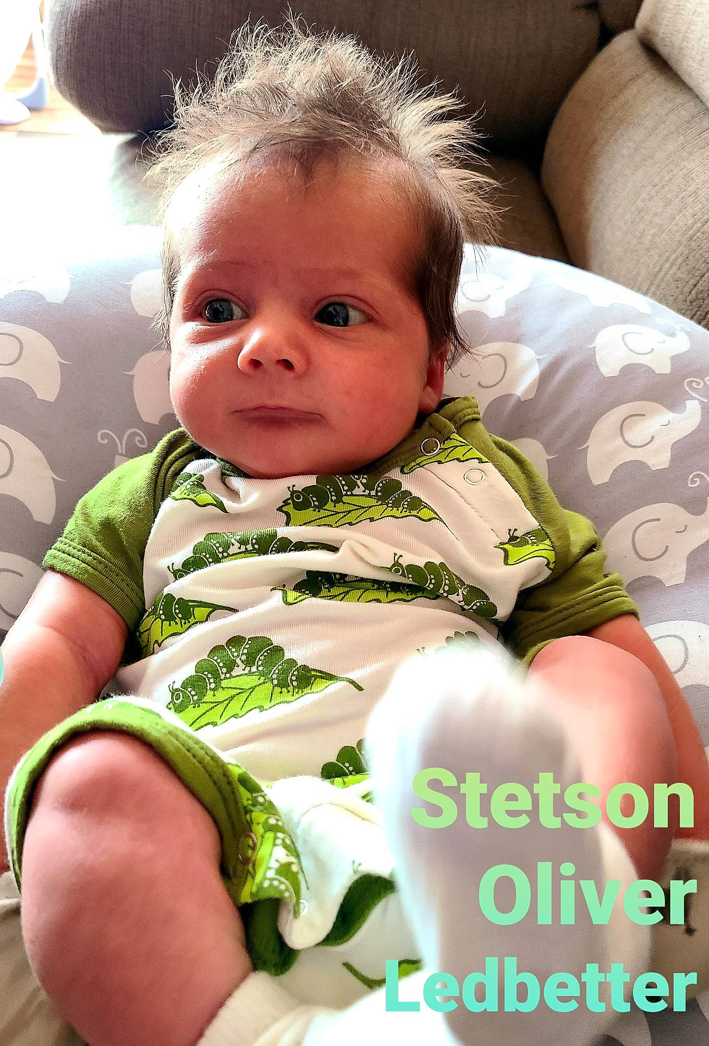 Stetson