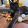 animal, black_cat, blurred_background, cat, close_up, collar, cozy, decor, feline, focus, green_eyes, home_interior, indoor, leather_surface, ornament, pet, relaxed, soft_lighting, stretching, wooden_beads