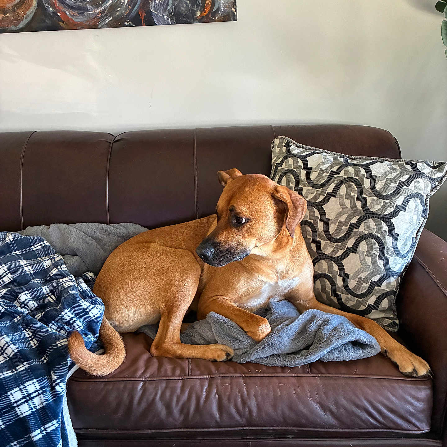 Enzo