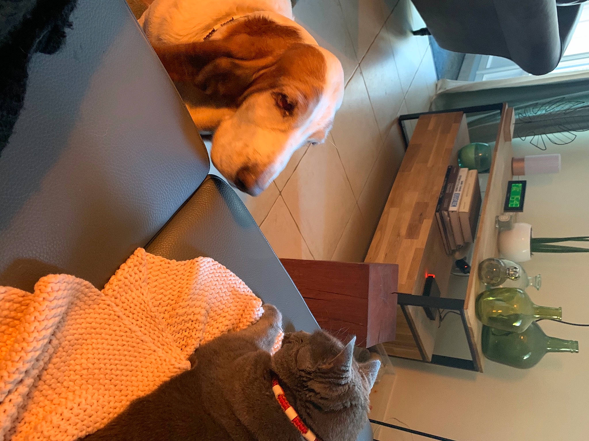 Hawaï participe au concours pour gagner de l'argent avec cette photo : art, audio_equipment, bag, box, cardboard, carton, comfort, electrical_supply, electrical_wiring, eyewear, flooring, hardwood, human_leg, machine, plywood, room, shipping_box, space, wire, wood