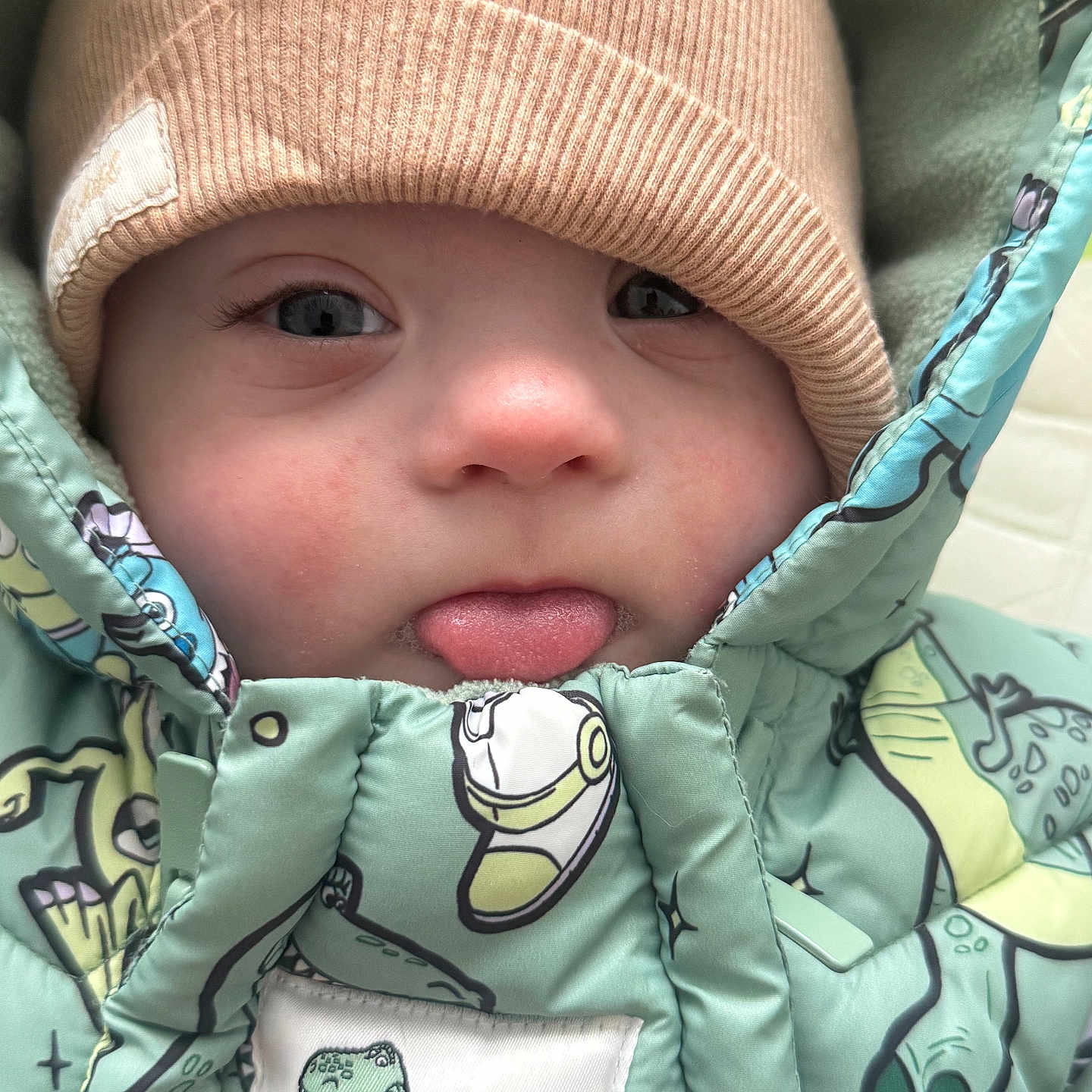 Robert participe au concours pour gagner de l'argent avec cette photo : baby, blue_eyes, child, closeup, cold_weather, cute, dinosaur_print, expression, face, hat, infant, knit_hat, outerwear, playful, portrait, puffer_jacket, smiling, tongue_out, warm, winter_clothing